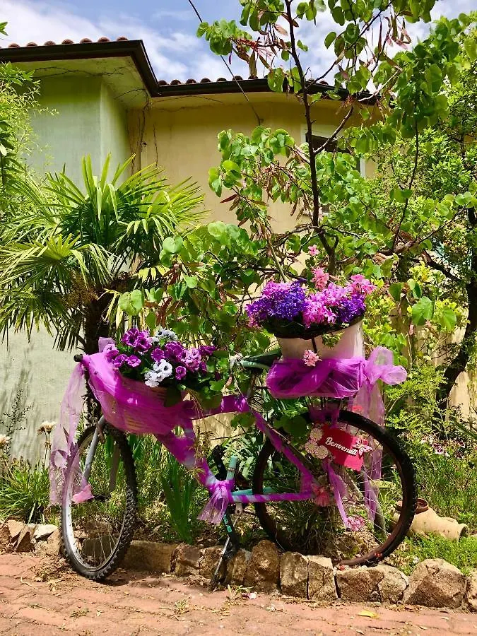 Bed & Breakfast Nonna Lelletta Bed and Breakfast Lanusei